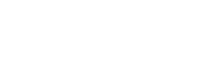 ADINA Mandala